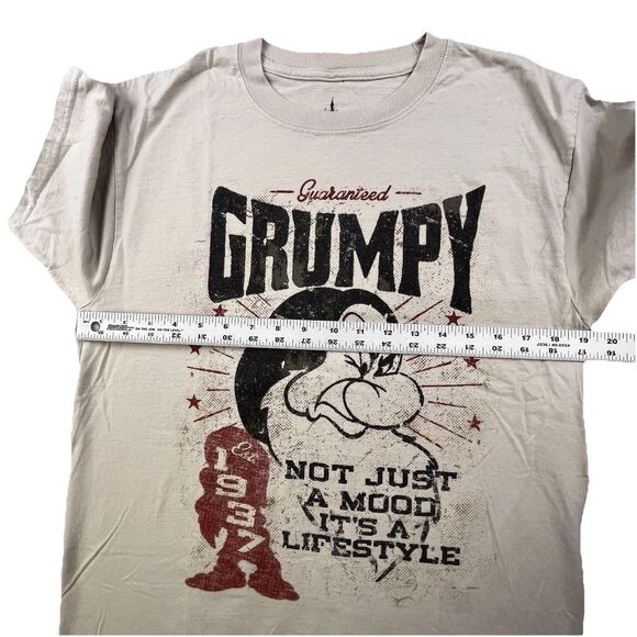 Disney Parks Lot of 2 Grumpy T-Shirts Adult M Gray & Tan Seven Dwarfs - Picture 6 of 13
